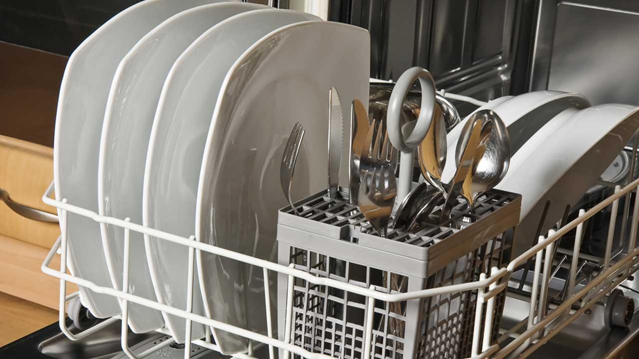 dishwasher surprise