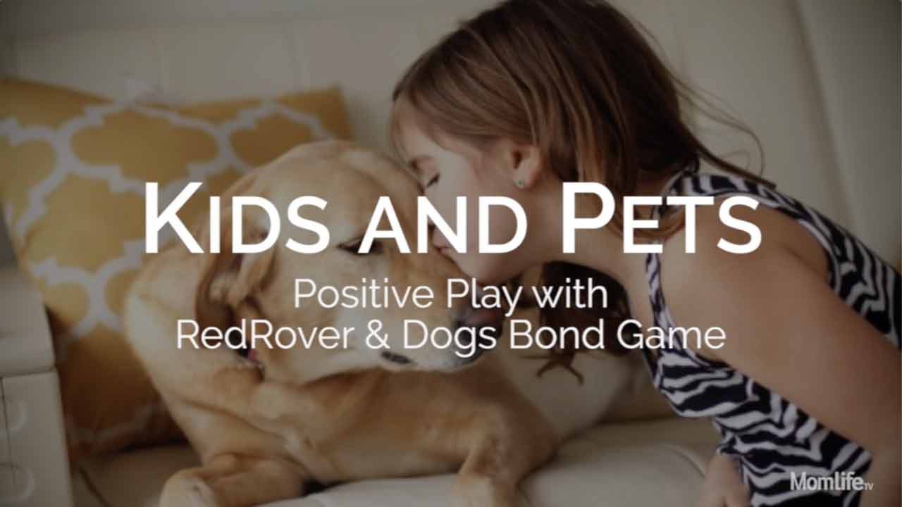 kids and pets: positive play with RedRover and Dogs BOND